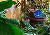 airlie beach apartments 1 bedroom