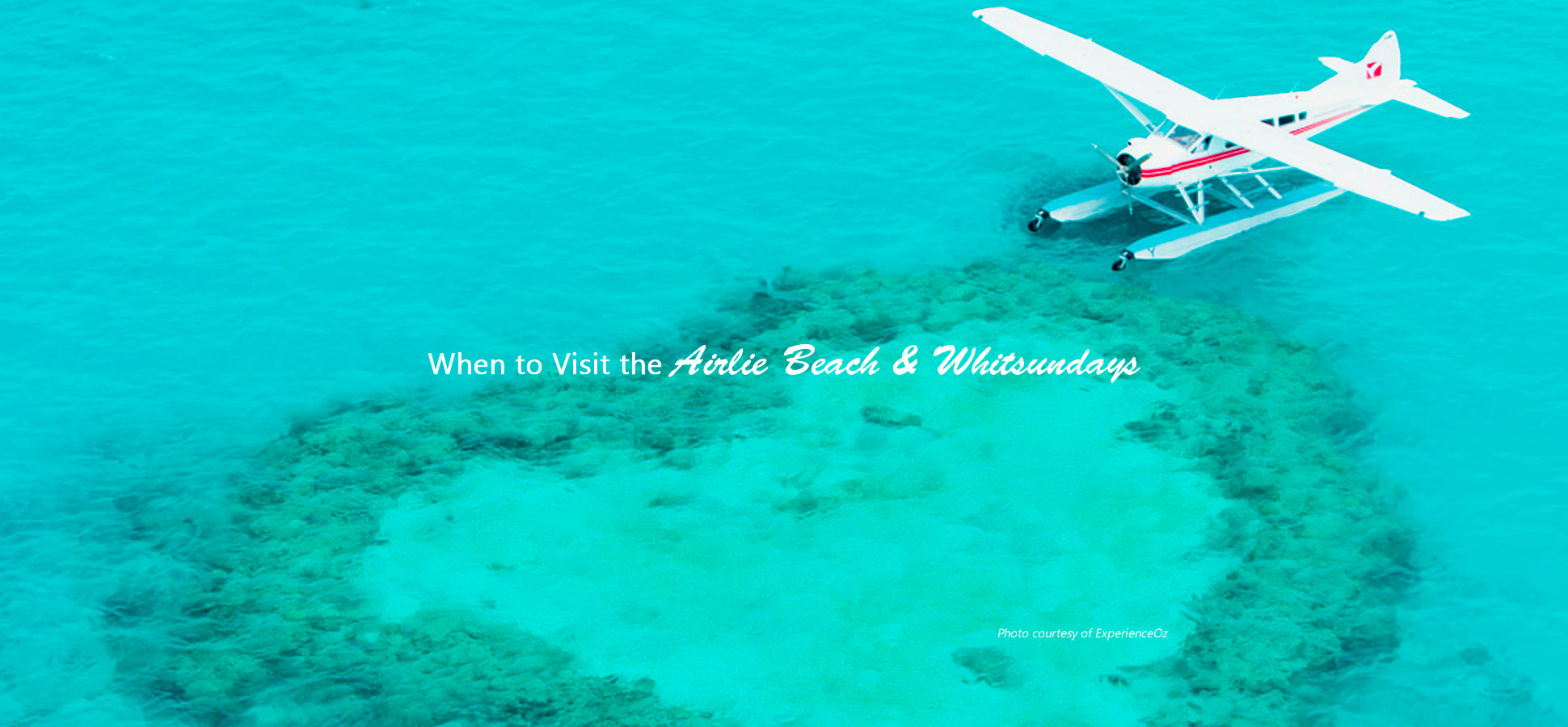 when to visit airlie beach whitsundays